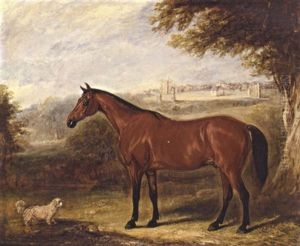 A Bay With A Dog by John Ferneley Jr.
