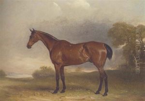 A Bay Hunter In An Extensive Landscape, With A Lake Beyond