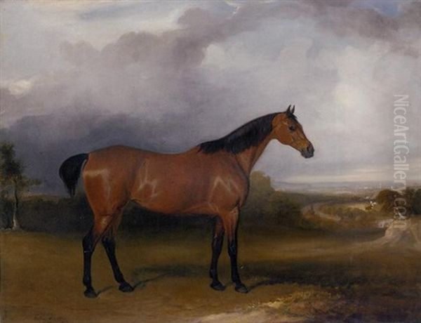 A Bay Hunter In A Landscape With Figures And Horses By A Path In The Distance And A Town Beyond - view 1