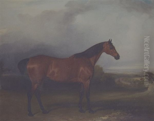 A Bay Hunter In A Landscape - view 1
