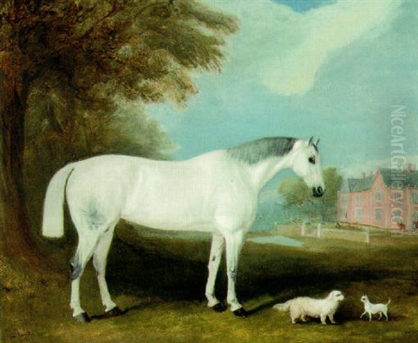 A Grey Hunter With Two Dogs, In The Grounds Of A Country House - view 1
