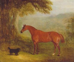 A Chestnut Horse With A Spaniel Before A Tree A Chestnut Horse With A Spaniel Before A Tree