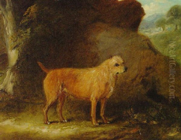 "pepper", A Terrier, Mascot Of The 4th Dragoon Guards, Manchester, In A Landscape - view 1