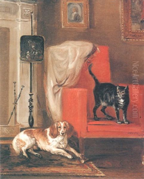 A Dog And A Cat In An Interior - view 1