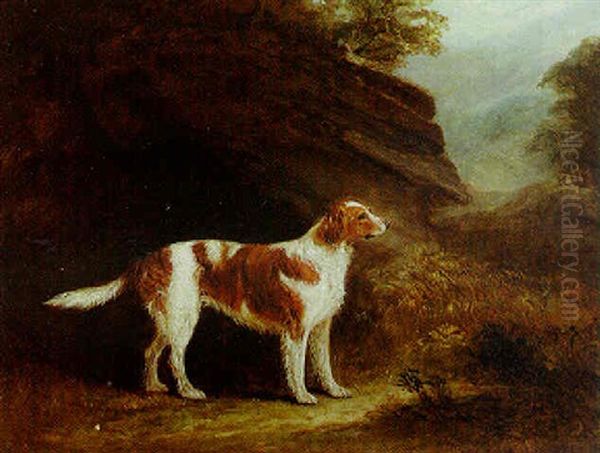 In Search Of The Hunt - view 1