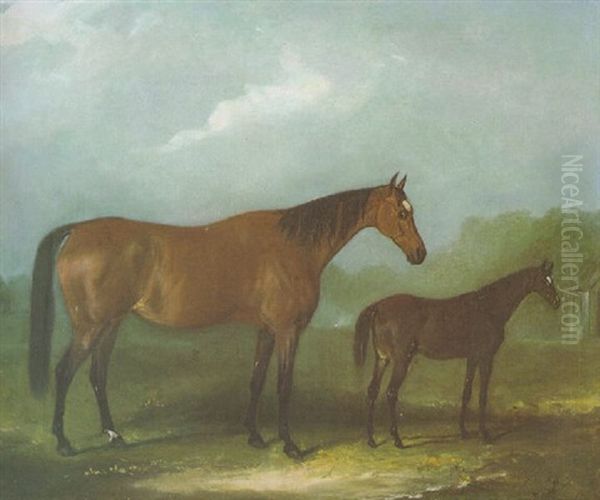 A Brood Mare And Her Foal, In A Landscape - view 1