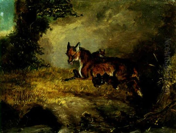 The Wiley Foxes - view 1
