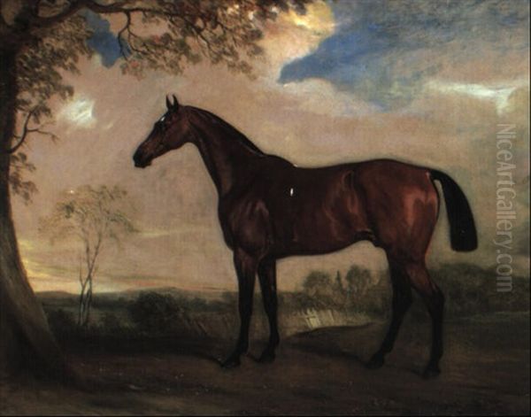 Portrait Of A Hunter Mare, The Property Of Robert Shafto Of Durham - view 1