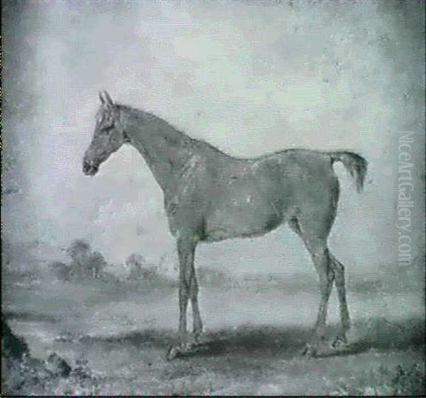 A Chestnut Filly In A Field - view 1