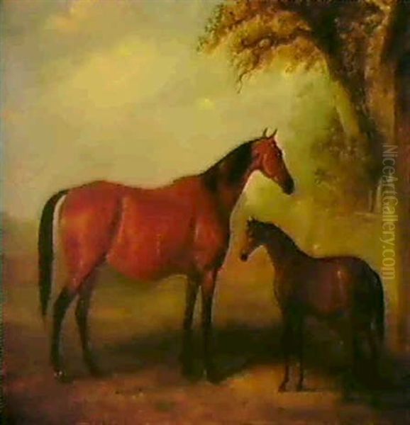 A Amre And Foal In A Landscape - view 1