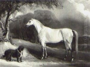The Colt-first Charger Of Captain Lister Lister-kaye        Captain Of The 10th Hussars
