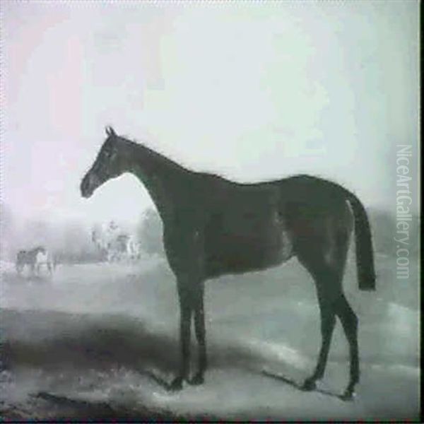 Portrait Of A Race Horse In A Rutland Landscape Near Empingham - view 1