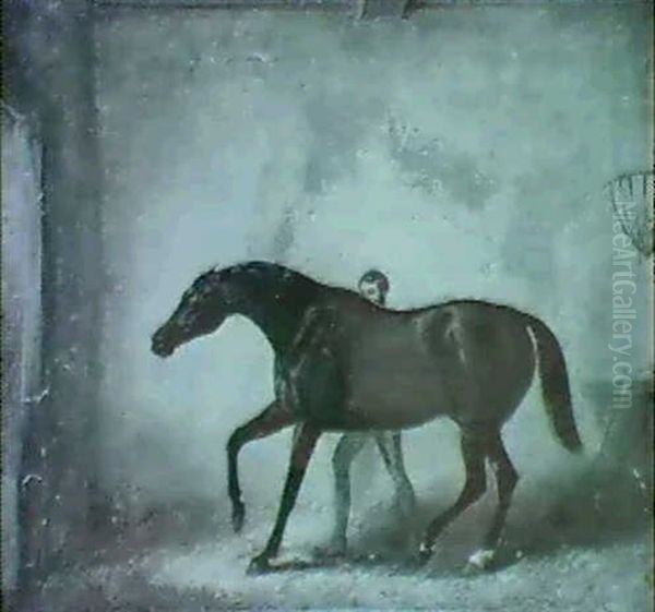 A Bay Racehorse Being Rubbed Down By A Groom In A Stable - view 1