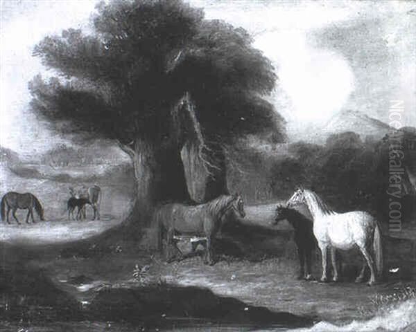 Mares And Foals In A Wooded Landscape - view 1