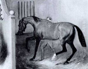 "the Crib Biter" Being Groomed In A Stall by John Ferneley Jr.