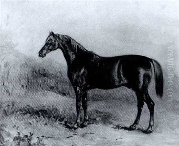 "general Chasse": A Chestnut Racehorse In A Landscape - view 1