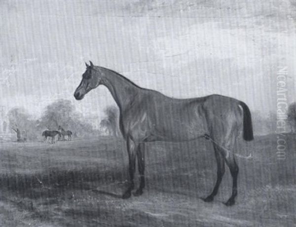 'wolverhampton', A Chesnut Racehorse, In A Landscape At Badsworth Hall - view 1