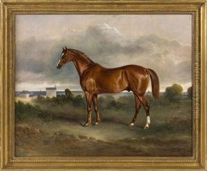 Portrait Of A Horse In A Landscape