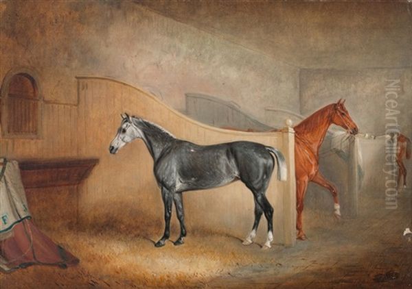 A Grey Horse In A Stable - view 1