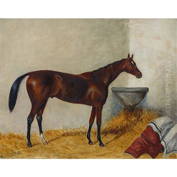 Brauner Im Stall - view 1