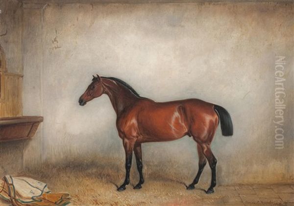 A Bay Horse In Stable - view 1