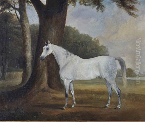 Cheval Gris Pommele Dans Un Paysage - view 1