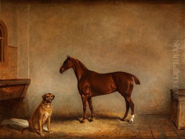 Hund Und Pferd Im Stall - view 1