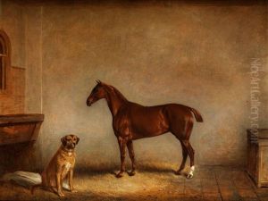 Hund Und Pferd Im Stall