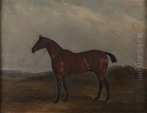 Study Of Figaro, A Bay Hunter Study Of Figaro, A Bay Hunter