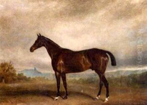 Bay Horse In A Landscape