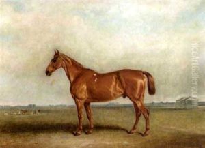 "haycock"
