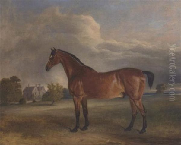 A Bay Hunter In The Park Of A Country House - view 1