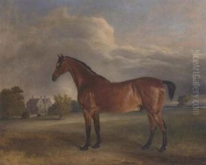 A Bay Hunter In The Park Of A Country House