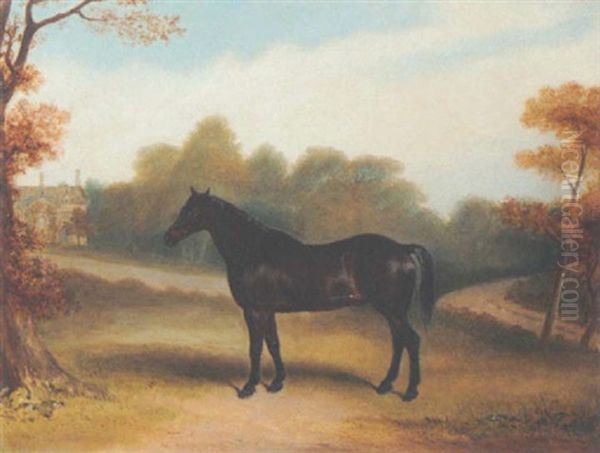 A Dark Bay Hunter In The Grounds Of A Country House - view 1