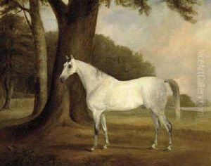 A Dappled Grey In A Landscape