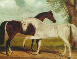 "dragon" And "black Prince" In A Landscape by Claude Lorraine Ferneley