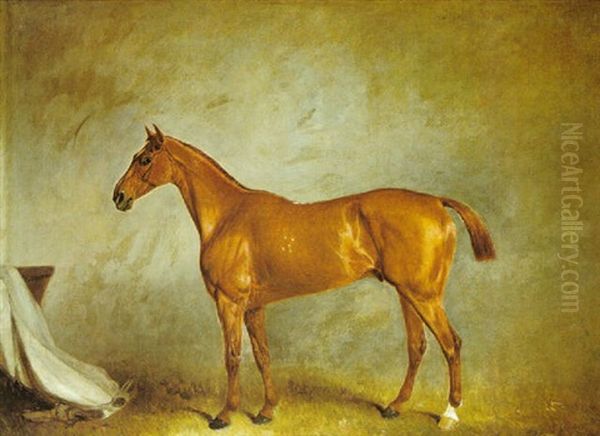 Caballo - view 1