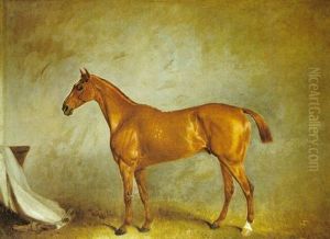 Caballo