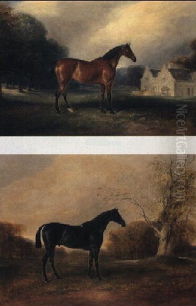 Dark Bay Hunters In A Field - view 1
