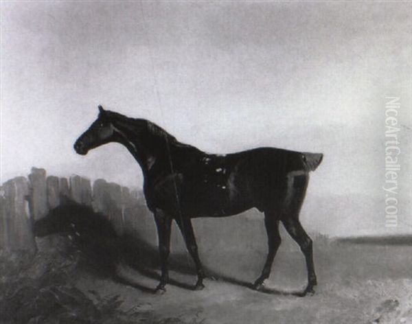 A Bay Hunter In Landscape - view 1