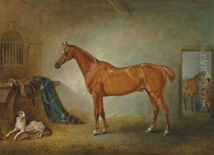 Lord Henry Bentinck"s Chestnut Hunter Firebird And Policy, A Foxhound, In A Loose Box