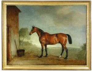 Study Of A Bay Hunter In A Landscape