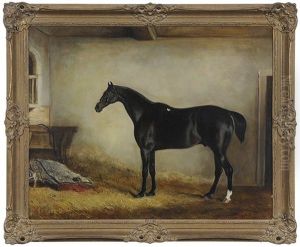 Dark Bay Hunter In A Loose Box