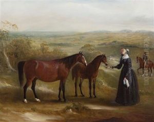 Lady Offering Bowl To Horses In A Hilly Landscape by John E. Ferneley