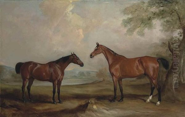 Two Bay Hunters In An Extensive Landscape - view 1