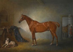 Lord Henry Bentinck's Chestnut Hunter Firebird And Policy, A Foxhound, In A Loose Box