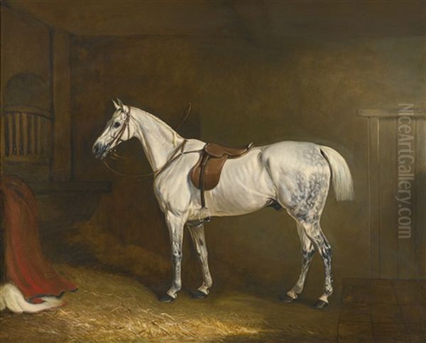 A Saddled Grey Hunter In A Loose Box - view 1