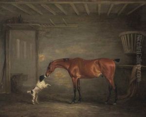 Bay Hunter With A Poodle In A Stable