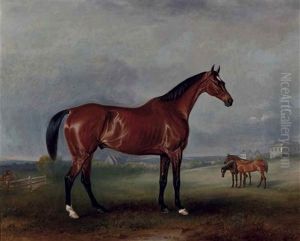 Cloud King, Le Cheval De Mr Hall Webb, Dans Un Enclos Avec D"autres Hunters En Arriere-plan Cloud King, Le Cheval De Mr Hall Webb, Dans Un Enclos Avec D"autres Hunters En Arriere-plan