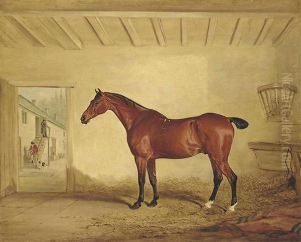 The Bay Hunter Draper, In A Stable - view 1
